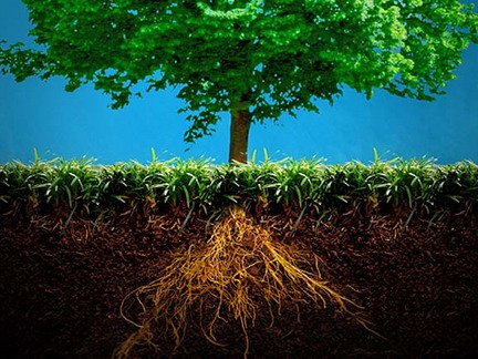 Media_https3amazonaws_cvybk