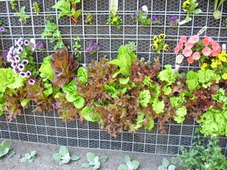 Media_httpwwwworldcha_hwjer