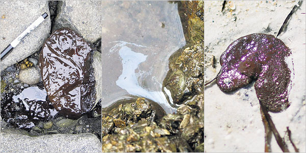 Media_httpgraphics8ny_fbeax